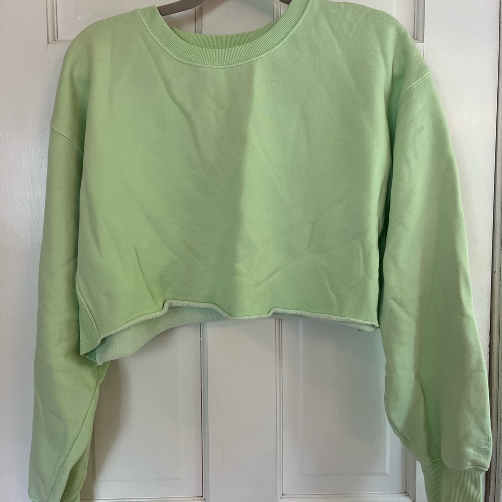 Aritzia Green Boxy Cropped Sweatshirt with Long Sleeves